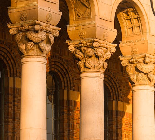 pexels-photo-35915470